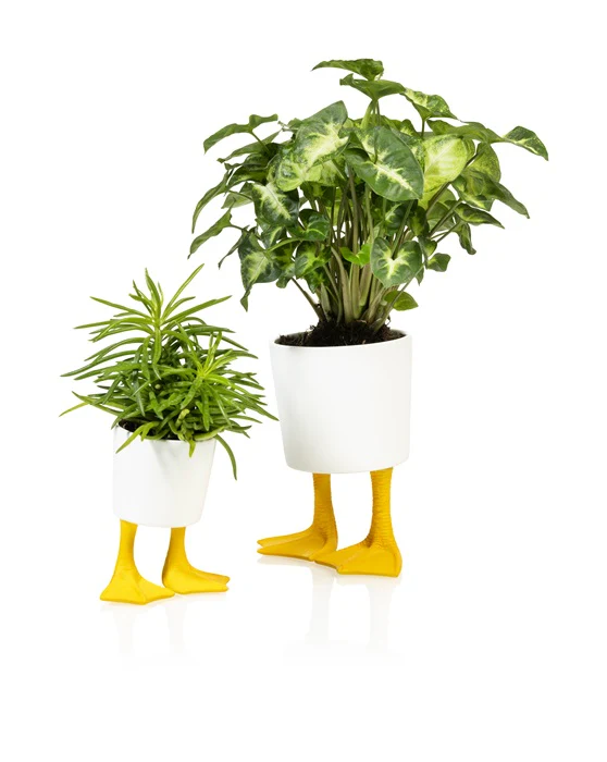 CACHE POT CANARD VASE / CACHE POT BITTEN