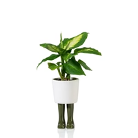 VASE BOTTE KAKI BITTEN