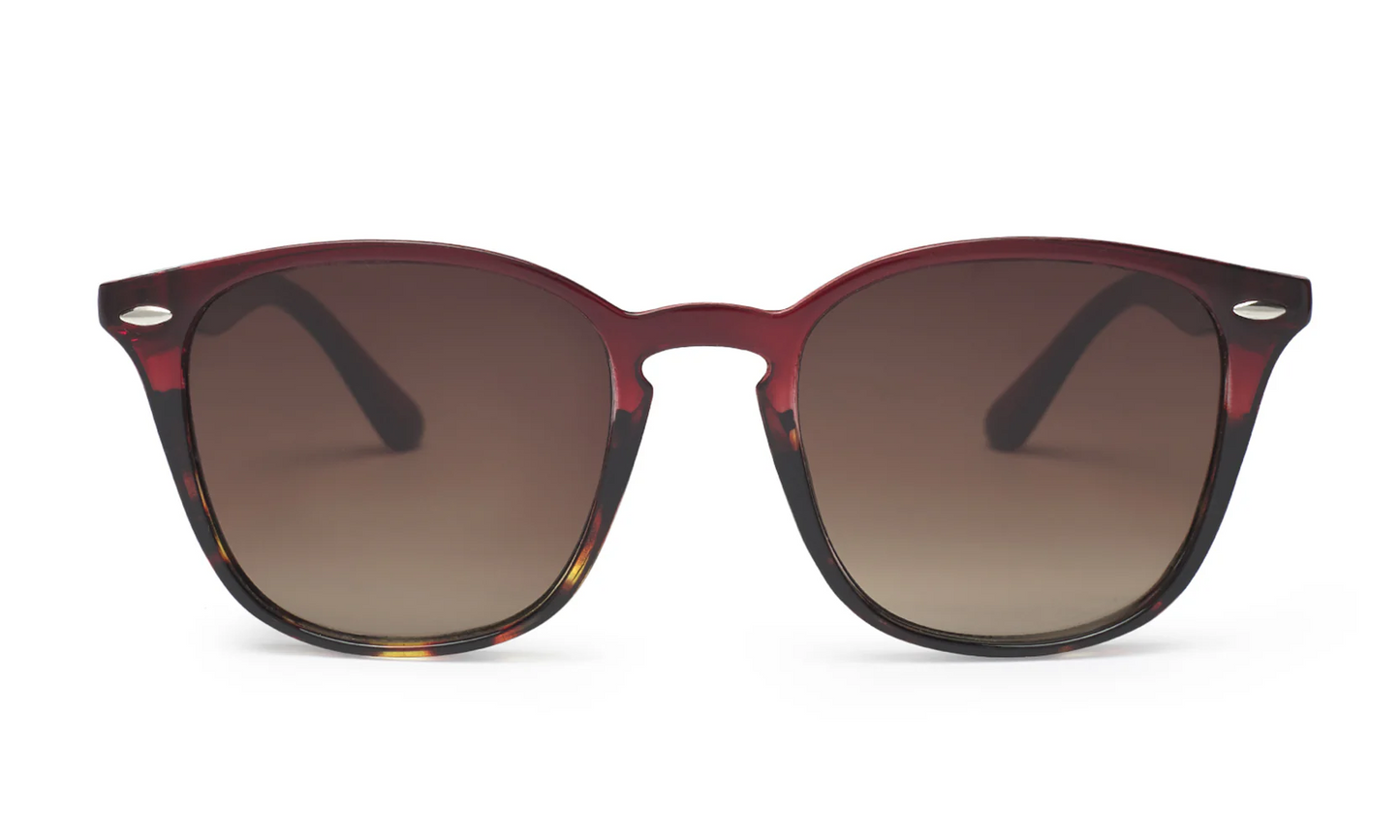 LUNETTES DE SOLEIL COOPER LIFESTYLE CHARLY THERAPY Bordeaux