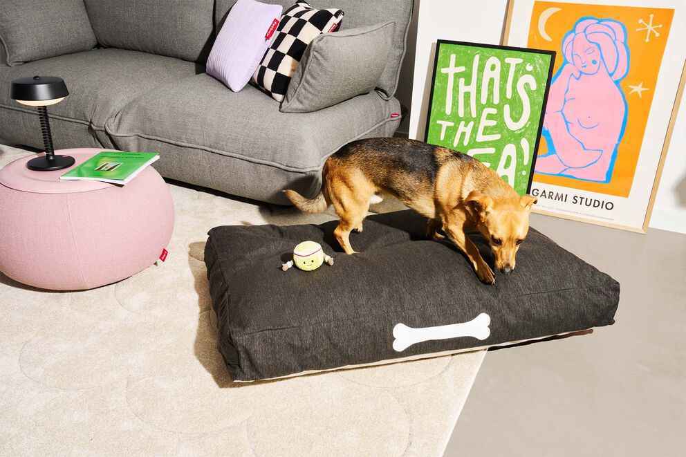 Doggielounge Olefin Small ANIMAUX FATBOY