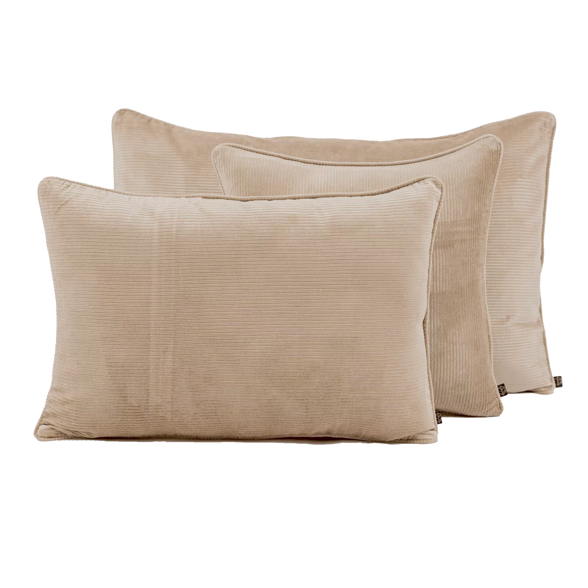 Coussin rectangulaire en velours côtelé 40 x 60 cm HAOMY LIN