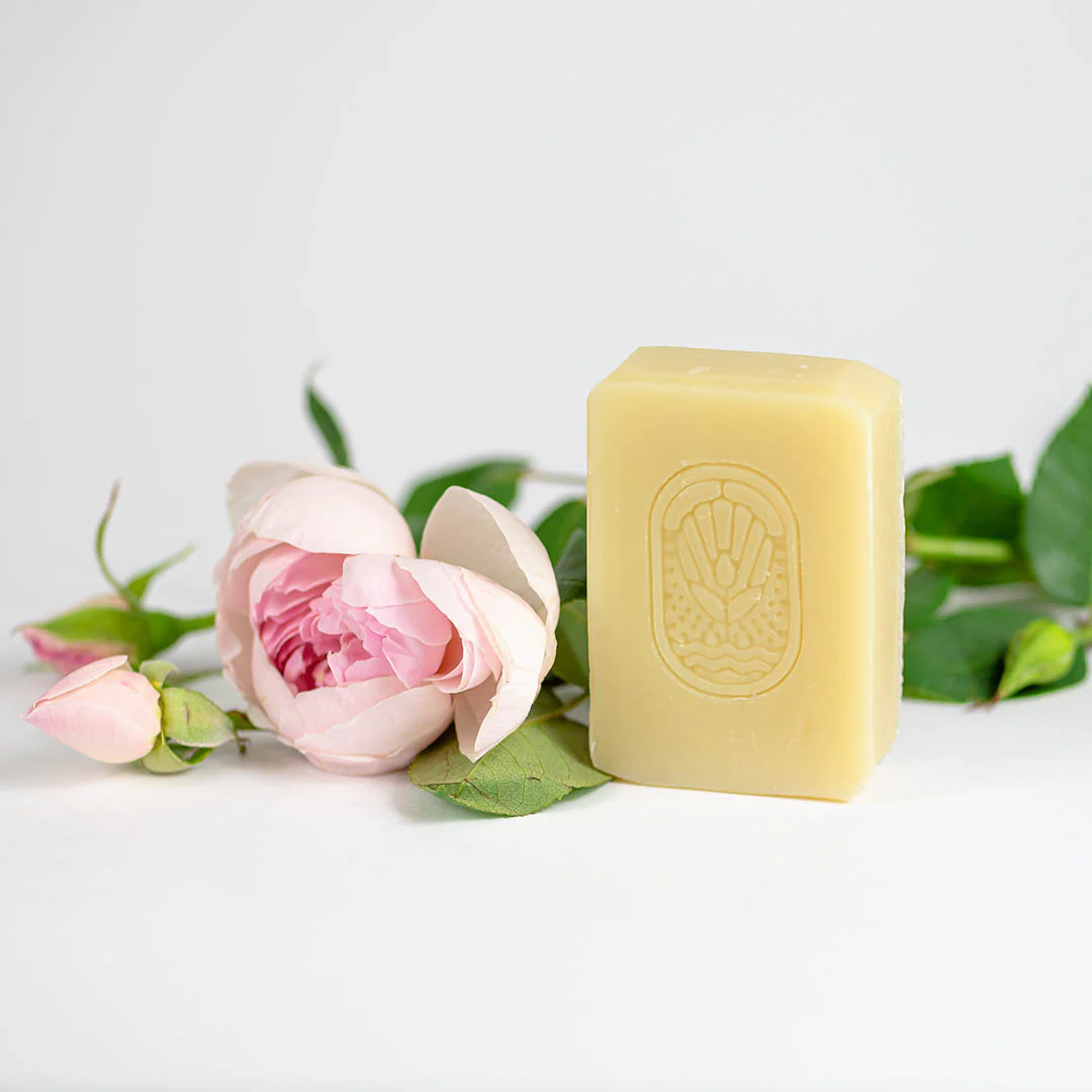 SAVON - SOUS LE SILENCE DE LA ROSE LA PETITE MADELEINE