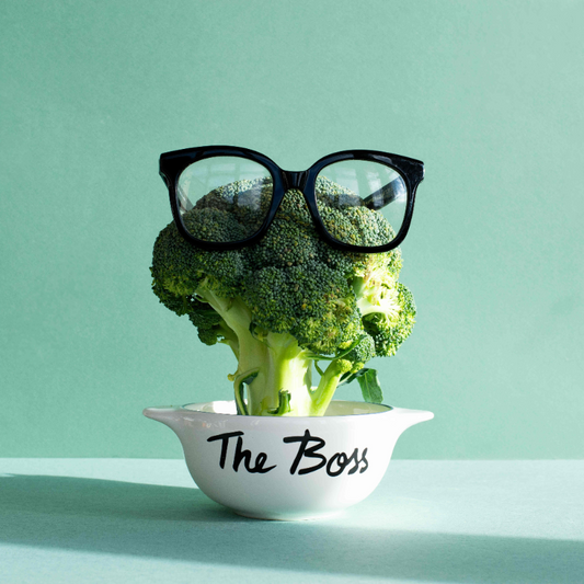 BOL BRETON VAISSELLE PIED DE POULE