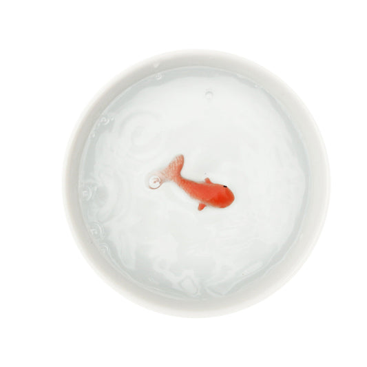 Bol céramique pour chat SUCK UK