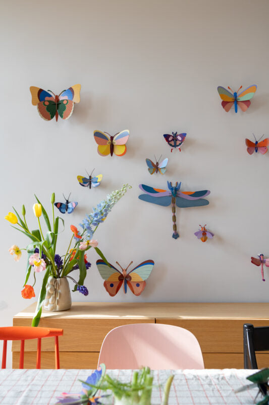 Décoration murale - Curiosité