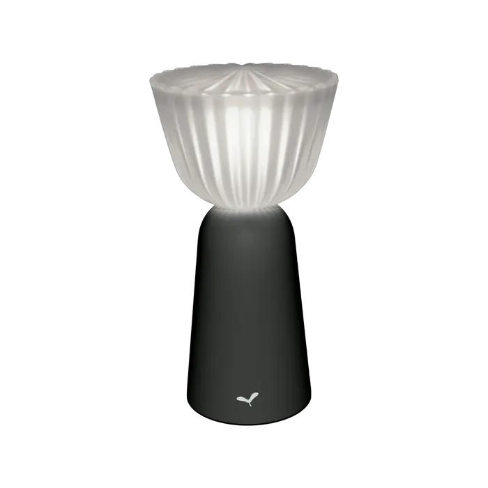 SWIING LAMPE H.20 CM LAMPE FERMOB Carbone