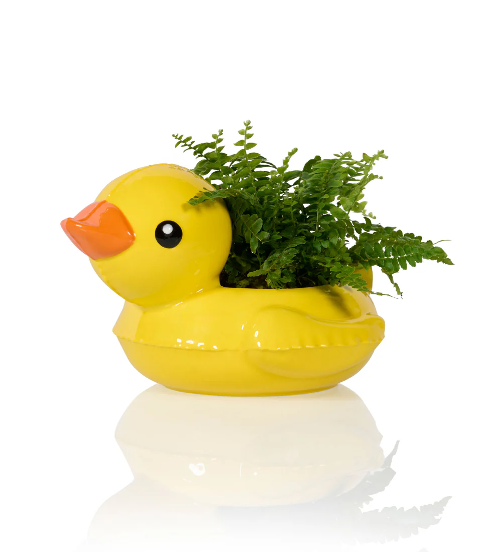 CACHE POT BOUEE CANARD BITTEN