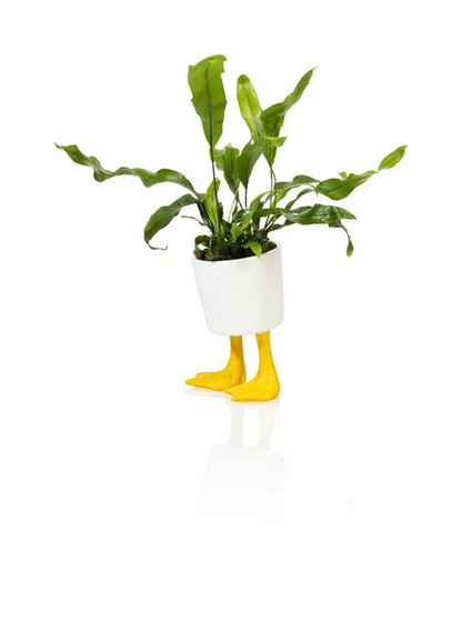 CACHE POT CANARD VASE / CACHE POT BITTEN