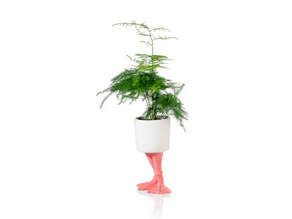 CACHE POT FLAMINGO VASE / CACHE POT BITTEN