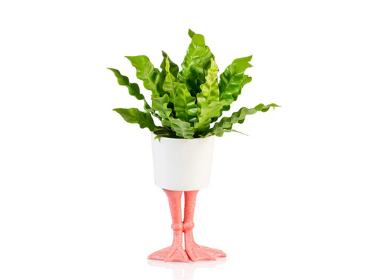 CACHE POT FLAMINGO VASE / CACHE POT BITTEN
