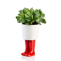 GRAND CACHE POT BOTTES ROUGE BITTEN