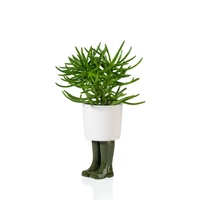 VASE BOTTE KAKI BITTEN