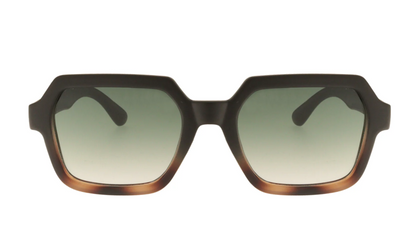 LUNETTES DE SOLEIL KYLIE LIFESTYLE CHARLY THERAPY Oursin
