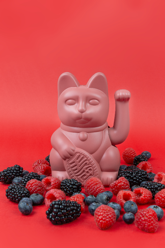 LUCKY CAT CLASSIC LUCKY CAT DONKEY