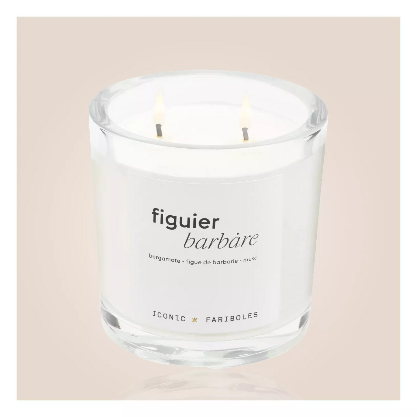 ICONIC FIGUIER BARBARE FARIBOLES