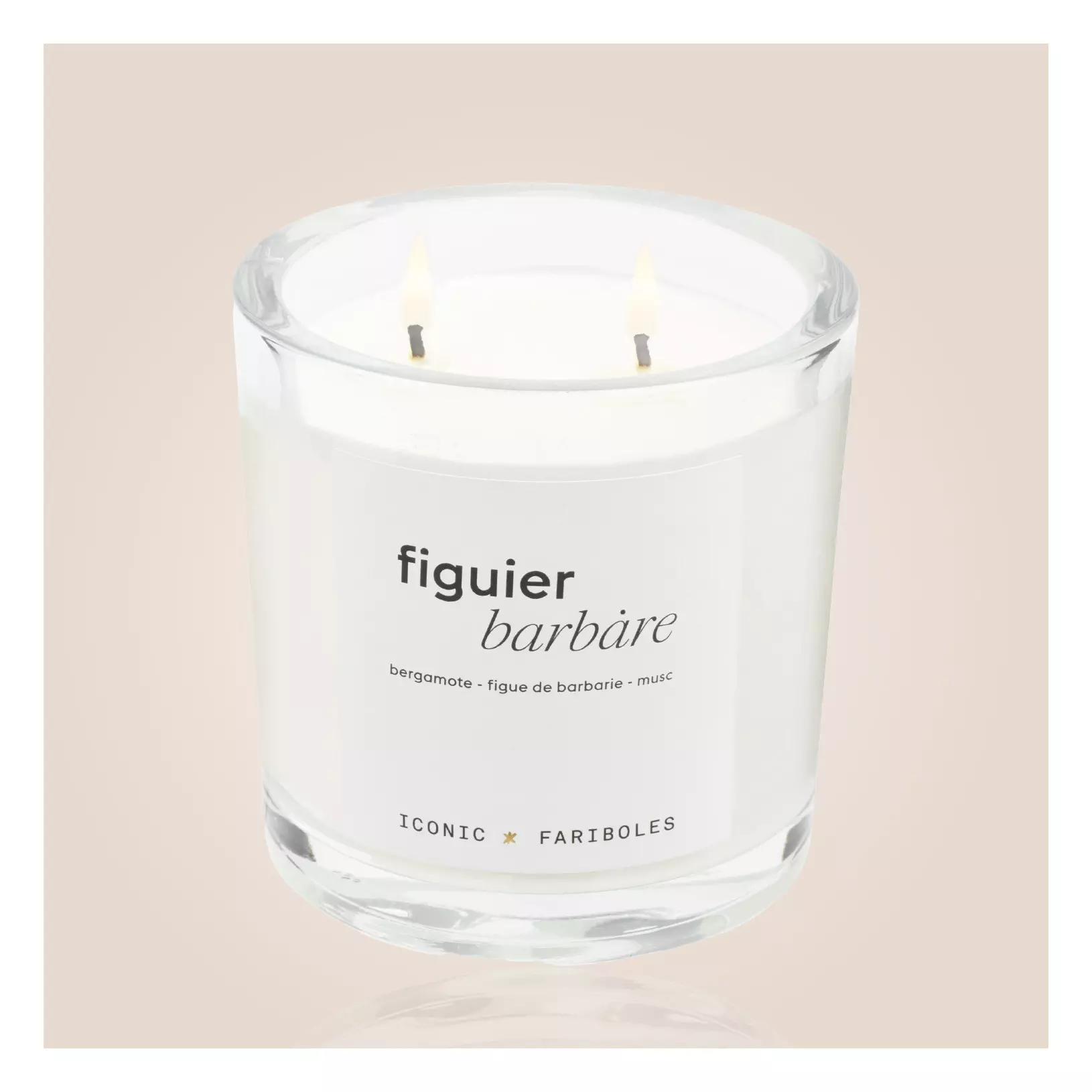 ICONIC FIGUIER BARBARE FARIBOLES