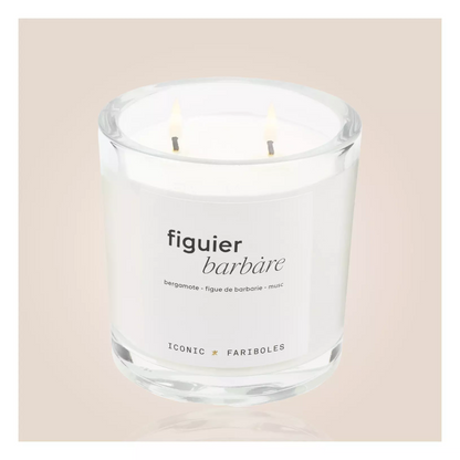 ICONIC FIGUIER BARBARE FARIBOLES