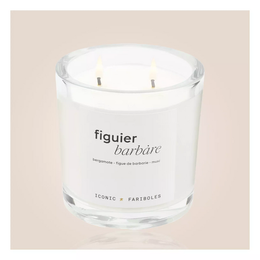 ICONIC FIGUIER BARBARE FARIBOLES