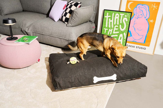 Doggielounge Olefin Small ANIMAUX FATBOY