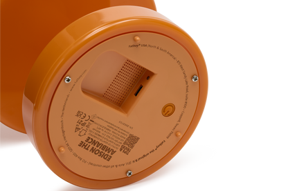 EDISON THE AMBIANCE FATBOY