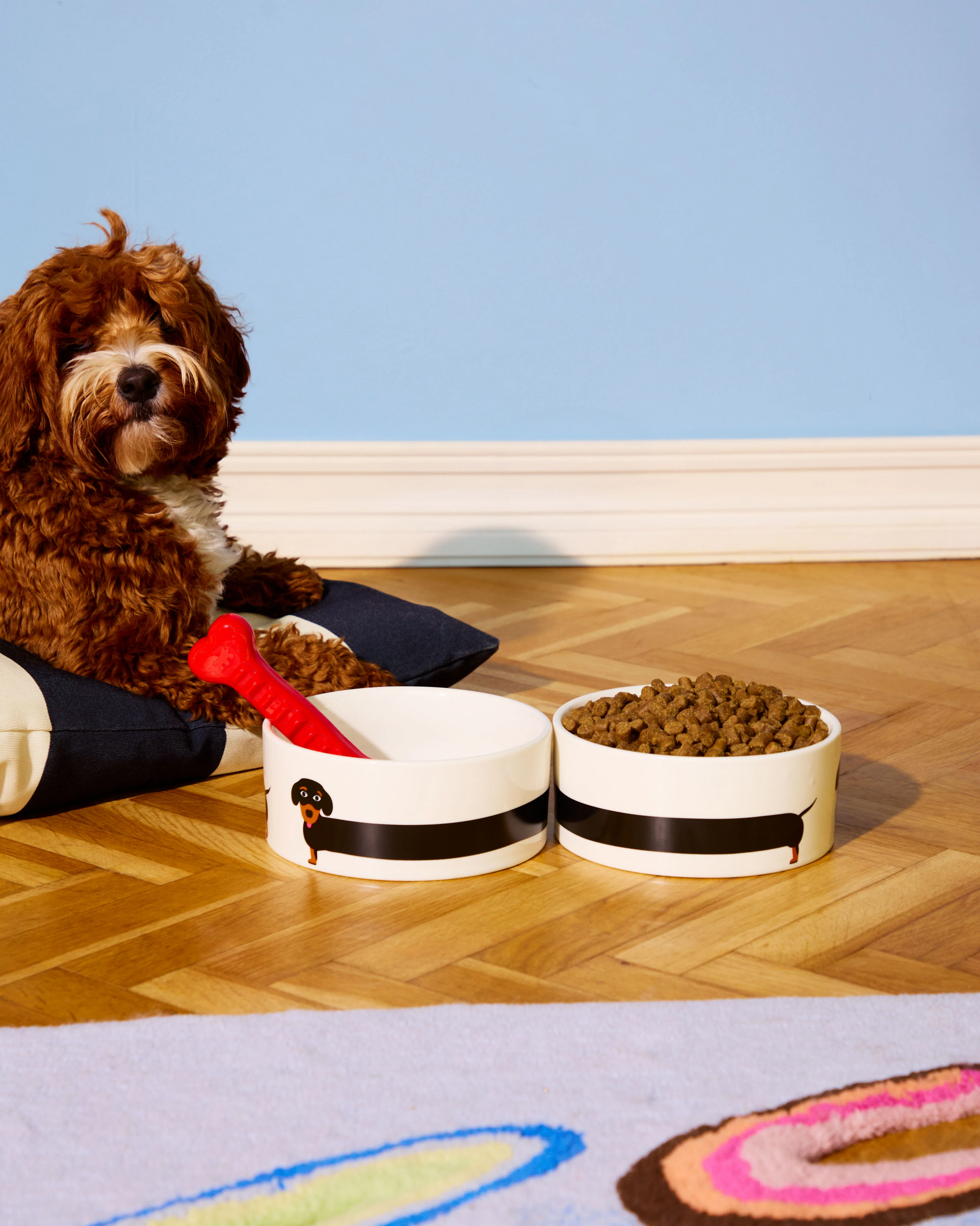 GAMELLE TECKEL FLUID