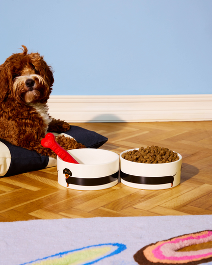 GAMELLE TECKEL FLUID