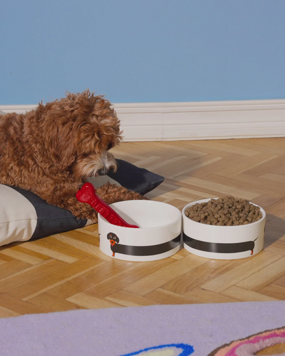 GAMELLE TECKEL FLUID