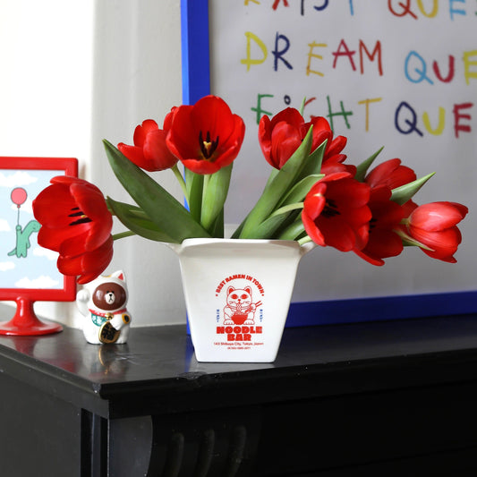 POT RAMEN VASE / CACHE POT FLUID