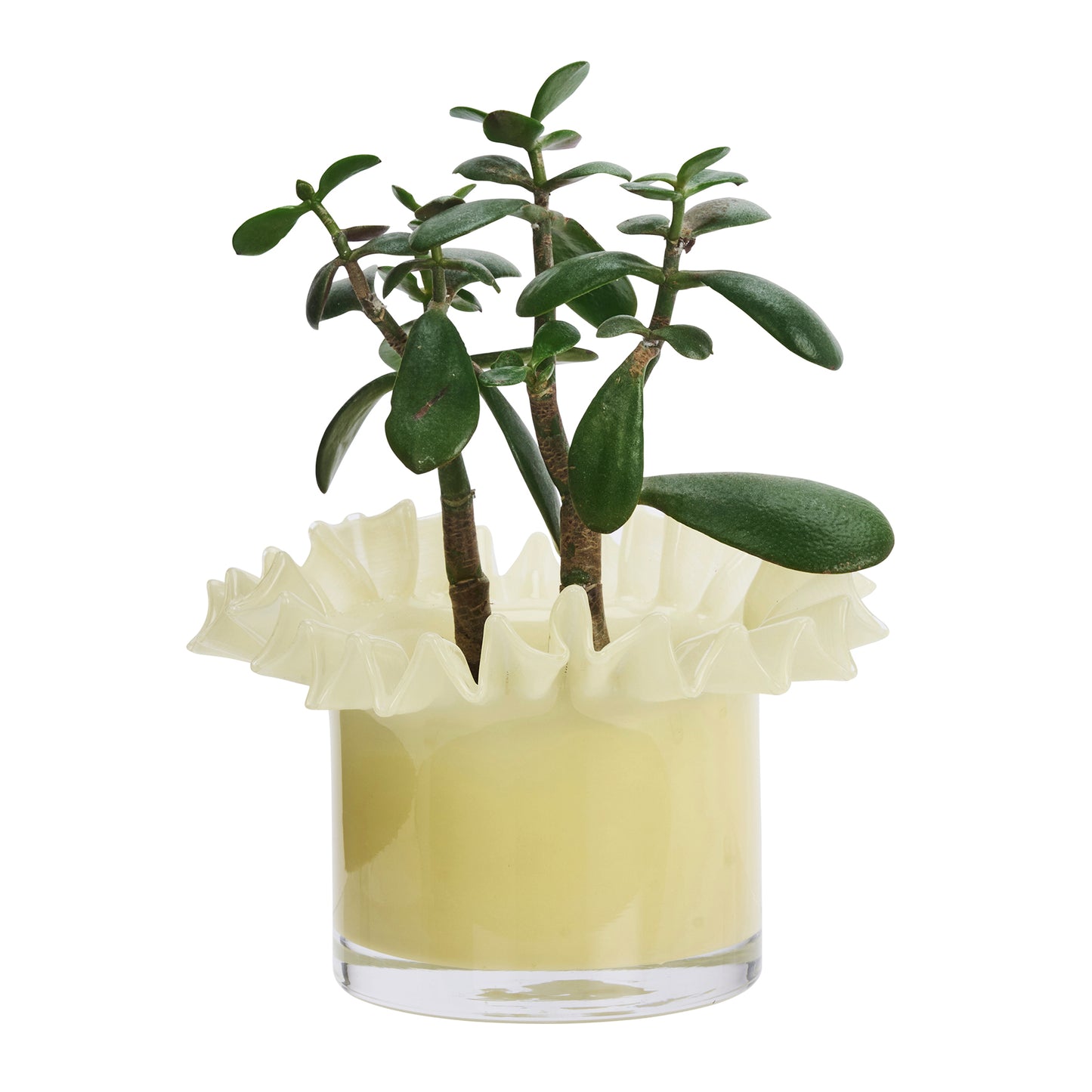 CACHE POT FLEUR JAUNE MADAM STOLTZ