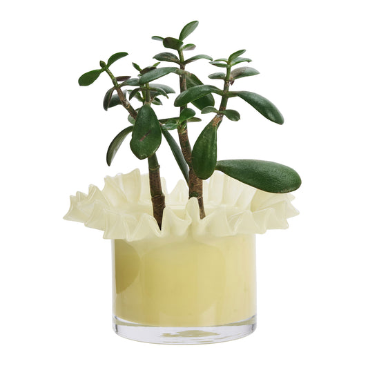 CACHE POT FLEUR JAUNE MADAM STOLTZ