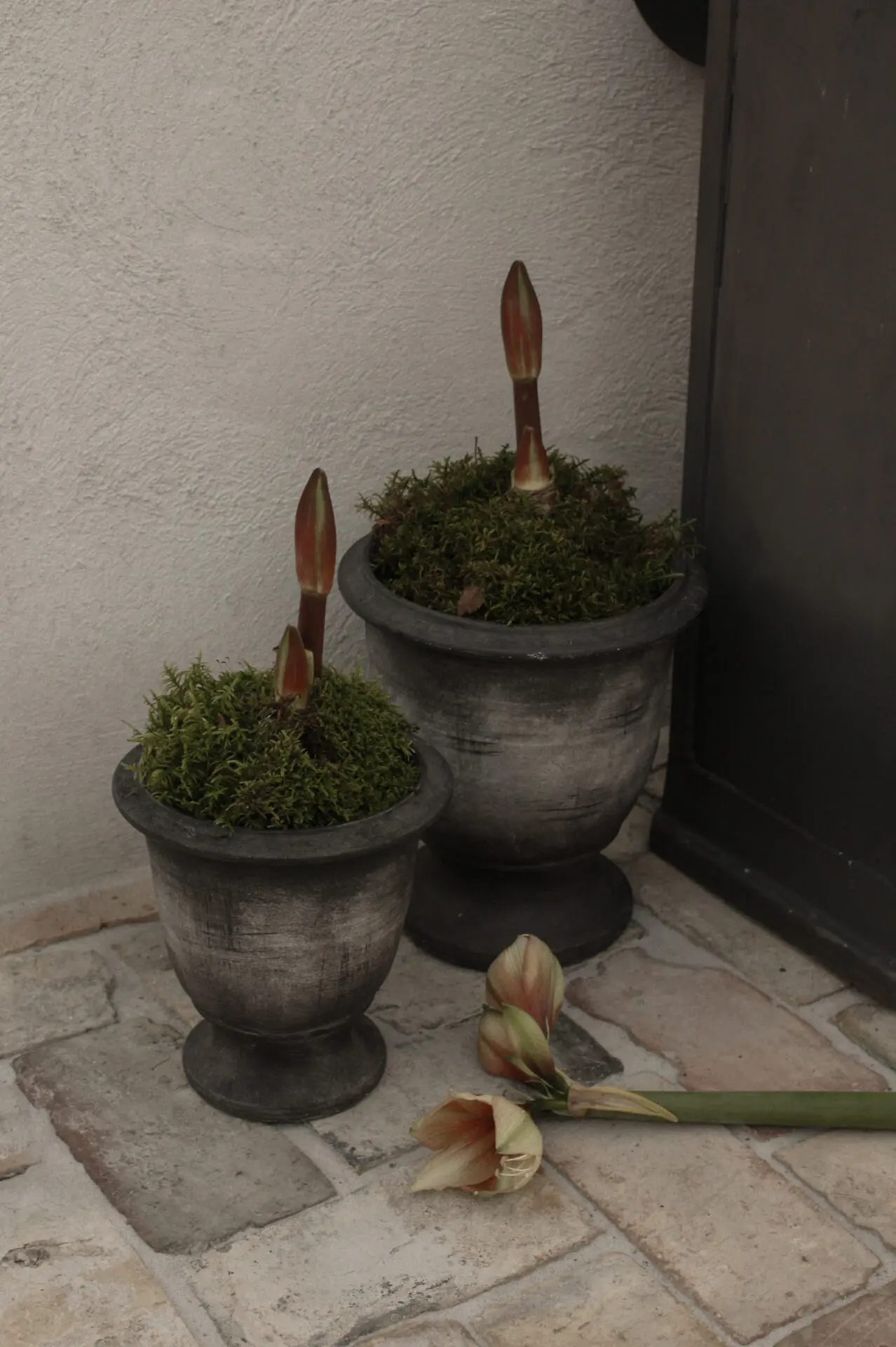 CACHE POT 30CM OLSSON JENSEN