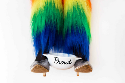 BOL BRETON VAISSELLE PIED DE POULE PROUD