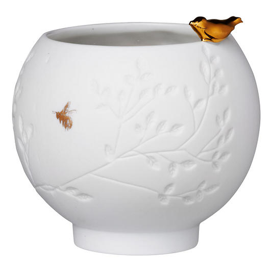 BOL HISTOIRE D OISEAUX RADER