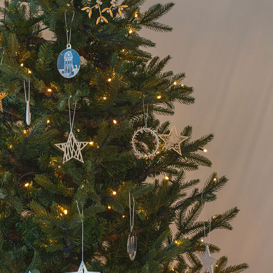 SUSPENSION ETOILE RADER