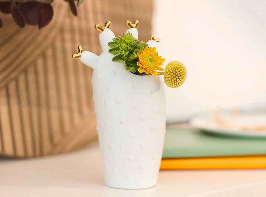 VASE CACTUS CORAIL RADER