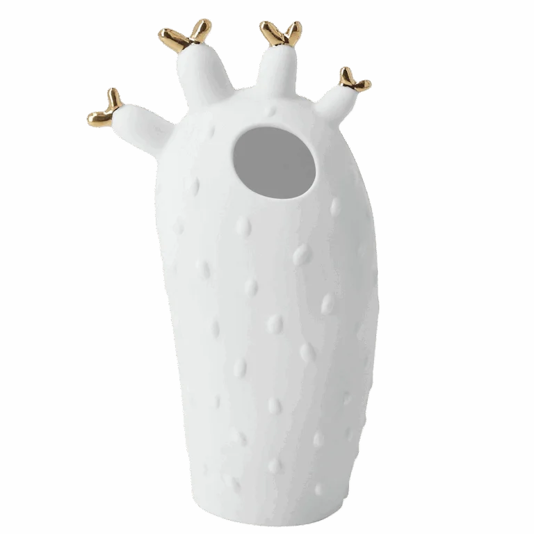 VASE CACTUS CORAIL RADER
